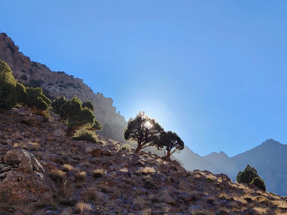 Juniper forests and orchards planted by the Berber people frame the lower Toubkal valley in Morocco. Even in winter, the trees are full of songbirds.