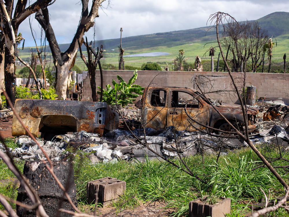 Over seven months after the fire, most properties that were burned in Lahaina are still covered with debris.