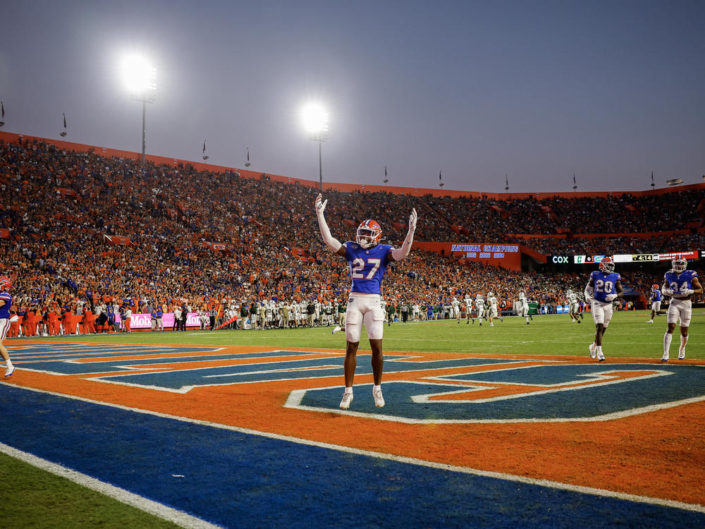 A University of Florida football game last fall.
