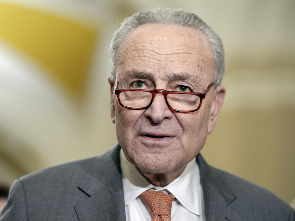 Senate Majority Leader Chuck Schumer, D-NY, called for new elections in Israel.