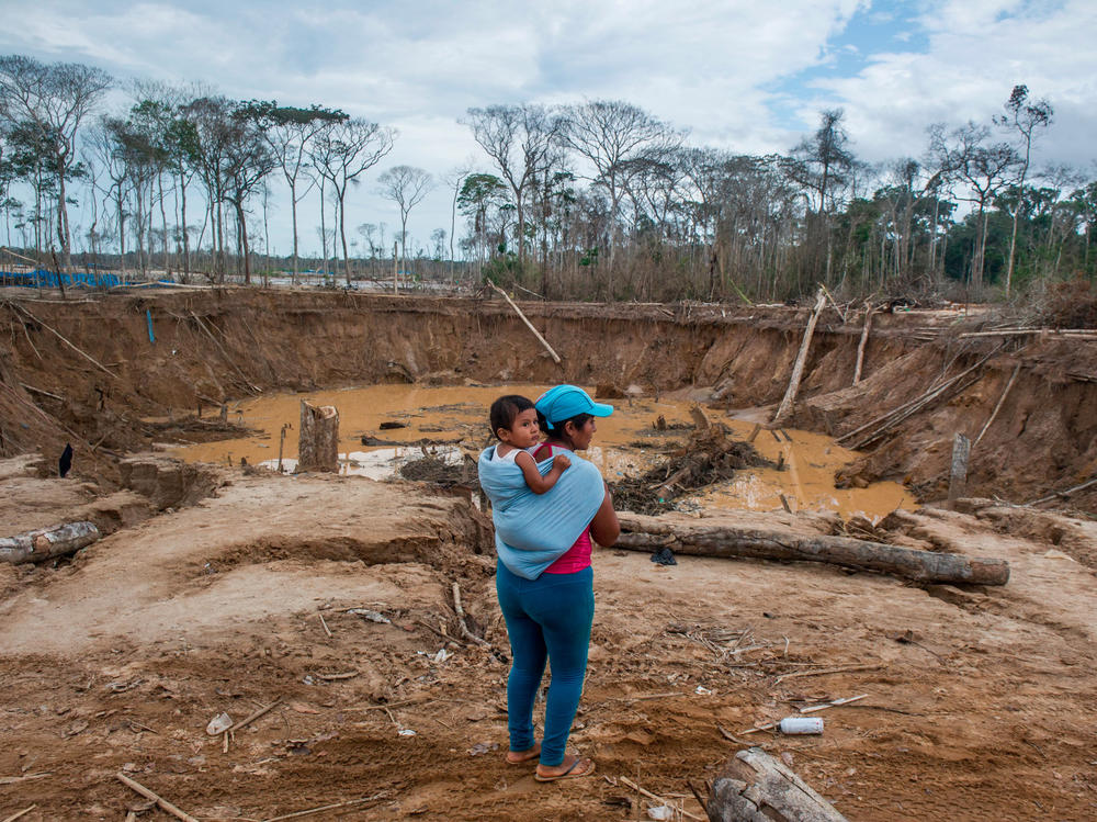 A woman and her child stand in front of a landscape denuded by gold mining in the southern Peruvian jungle in the Madre de Dios region. This picture is from 2015. Today, there's an effort to plant saplings to revive the forest.