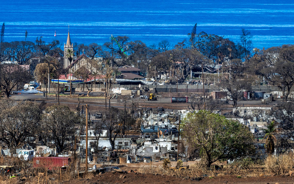 Cultural monitors evaluate each individual property for significant artifacts before the site can be cleared of debris. This photo of Lahaina was taken after the August wildfire last year.
