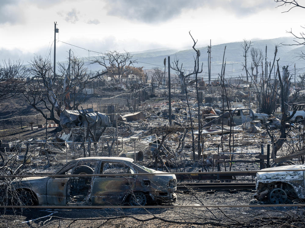 The historic city of Lahaina on Maui was once the royal capital of Hawaii. It was destroyed by a wildfire on August 8 last year. This picture was taken on August 18, 2023.
