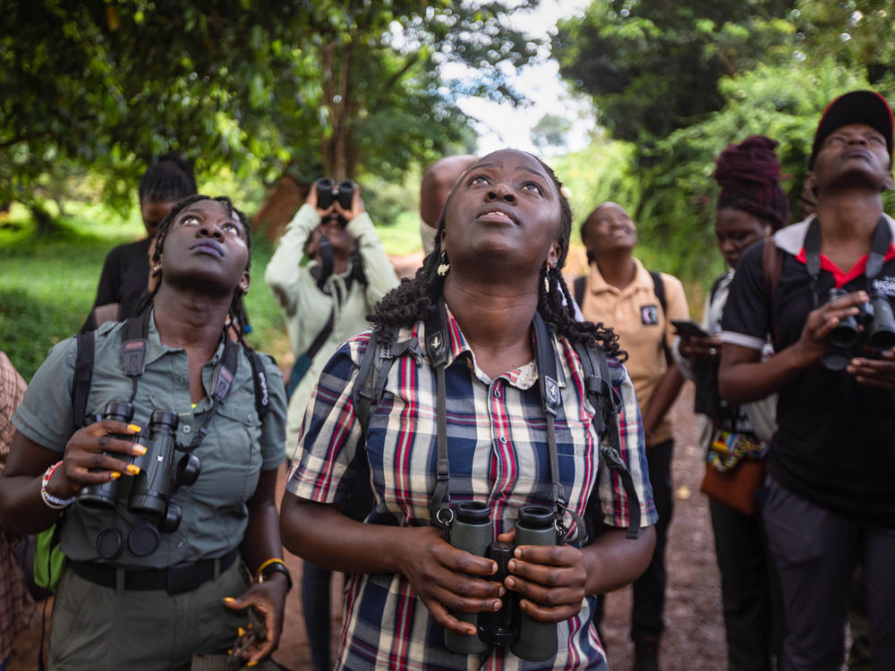 Judith Mirembe (in the plaid shirt) leads a bird-watching excursion on Nov. 19, 2023 in the Entebbe Botanical Gardens, on the shores of Lake Victoria in Uganda.