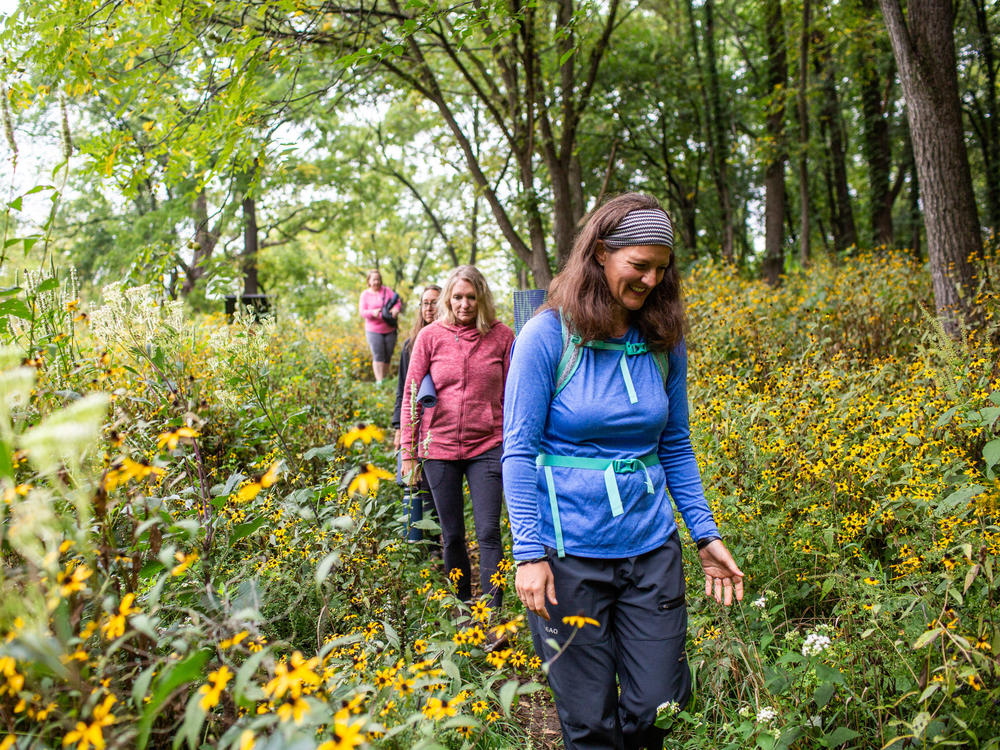 Forest bathing in Wisconsin; Sept. 4, 2021. An immersion in nature is as a way to unplug from the business of modern life ... and get happy.