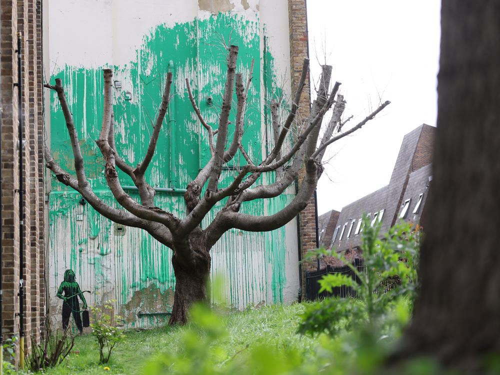 A new Banksy artwork near Finsbury Park in north London shows a stencil of a person having spray painted tree foliage onto a wall behind a leafless tree.