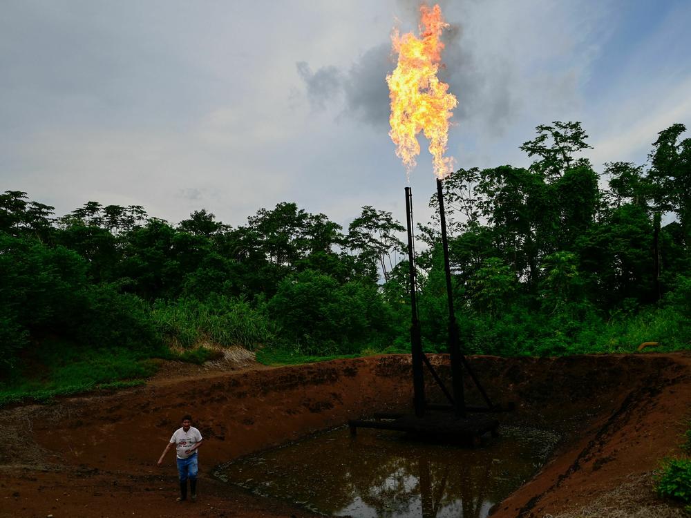 Flames flicker through the thick green trees of the Ecuadorian Amazon rainforest — where gas flares, oil wells and refineries darken the landscape and poison the environment — shown in Shushufindi, Ecuador, in 2023. The legacy there of Texaco, which Chevron acquired, has inspired lengthy legal battles in several countries.