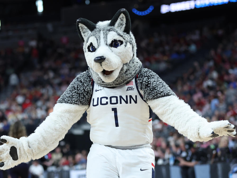 The UConn Huskies are the No. 1 seed and are favored to win this year's NCAA March Madness tournament. But is Jonathan the Husky the cutest mascot in the competition?