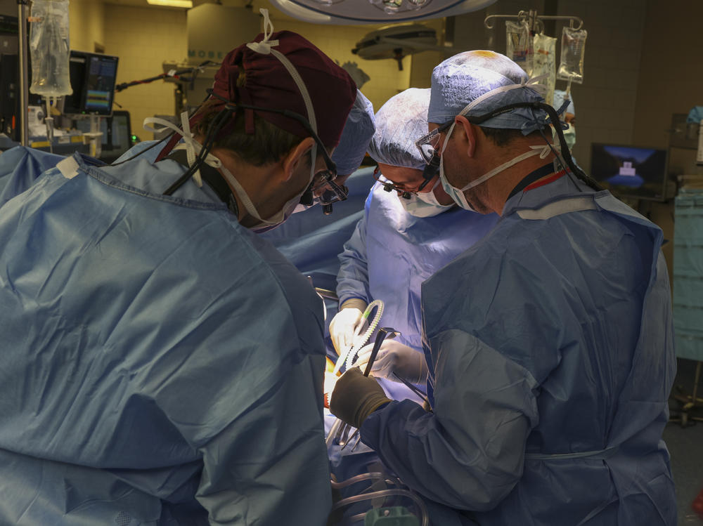 Surgeons perform the first transplant of a genetically modified pig kidney into a living human at Massachusetts General Hospital in Boston.