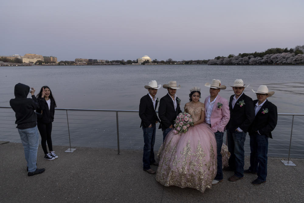 The colors of the quinceñera dress for Elizabeth Romero, of northern Virginia, match the cherry trees' blooms as she gets her photos taken with her court at the Tidal Basin.
