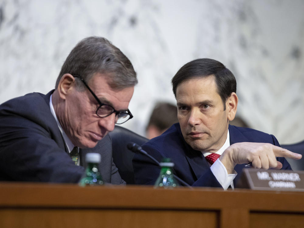 Senate Intelligence Committee Vice Chairman Marco Rubio, R-Fla., right, talks with Chairman Mark Warner, D-Va., left, during a panel hearing earlier this month.