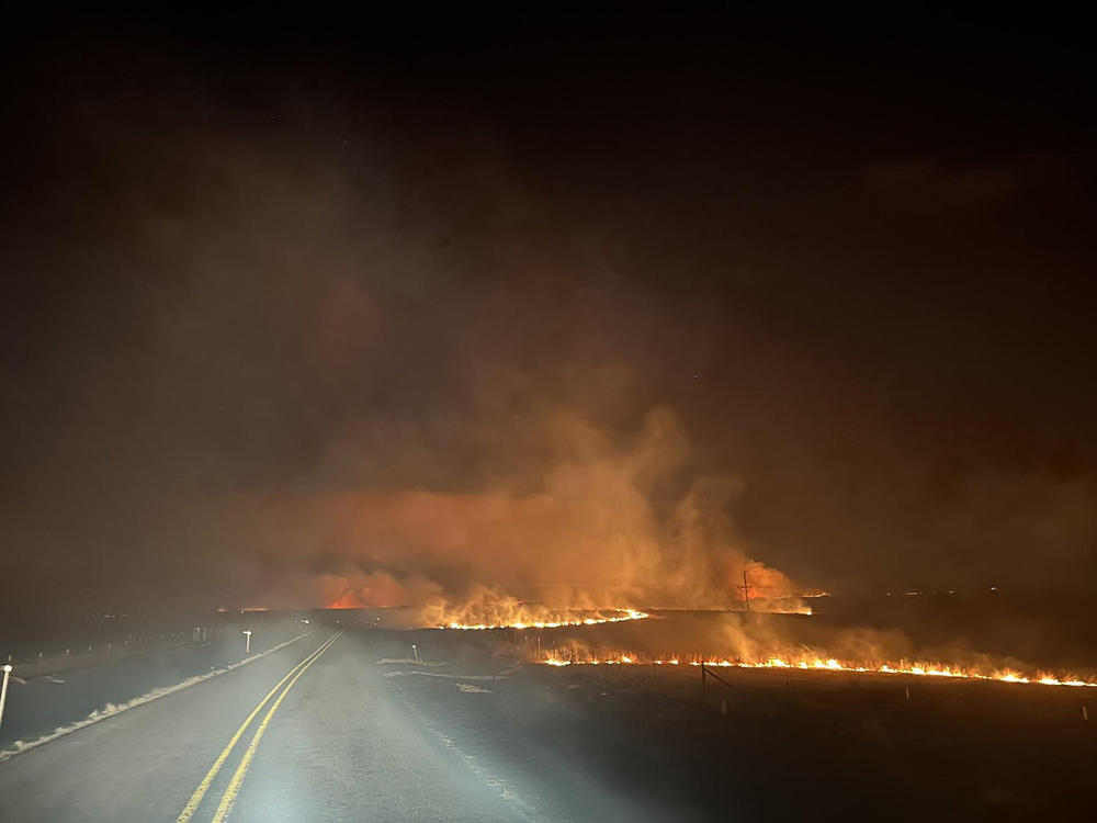 Fire crosses a road in the Smokehouse Creek fire in February in the Texas panhandle.
