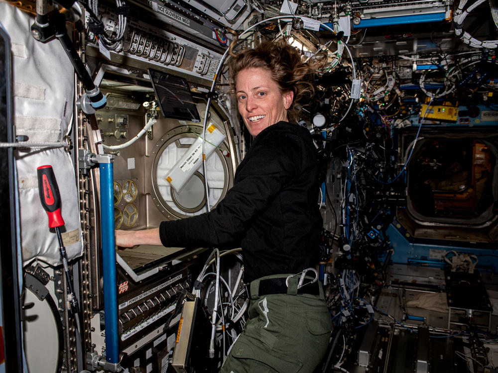 NASA astronaut and Expedition 70 Flight Engineer Loral O'Hara is pictured working with the Microgravity Science Glovebox, a contained environment crew members use to handle hazardous materials for various research investigations in space.