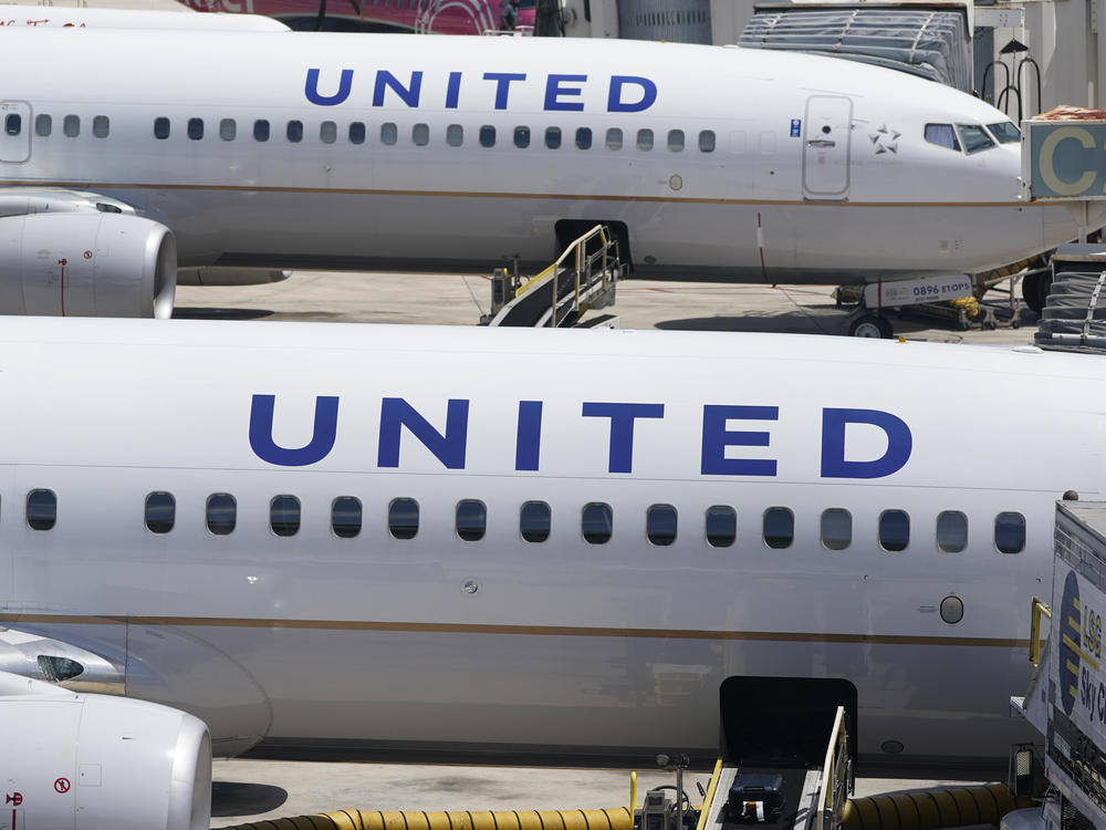 Two United Airlines Boeing 737s are parked at the gate at the Fort Lauderdale-Hollywood International Airport in Fort Lauderdale, Fla., on July 7, 2022.