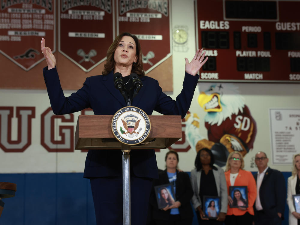 Vice President Kamala Harris on Saturday spoke at Marjory Stoneman Douglas High School in Parkland, Fla., about gun safety measures after meeting with families whose loved ones were killed during the 2018 shooting at the school.