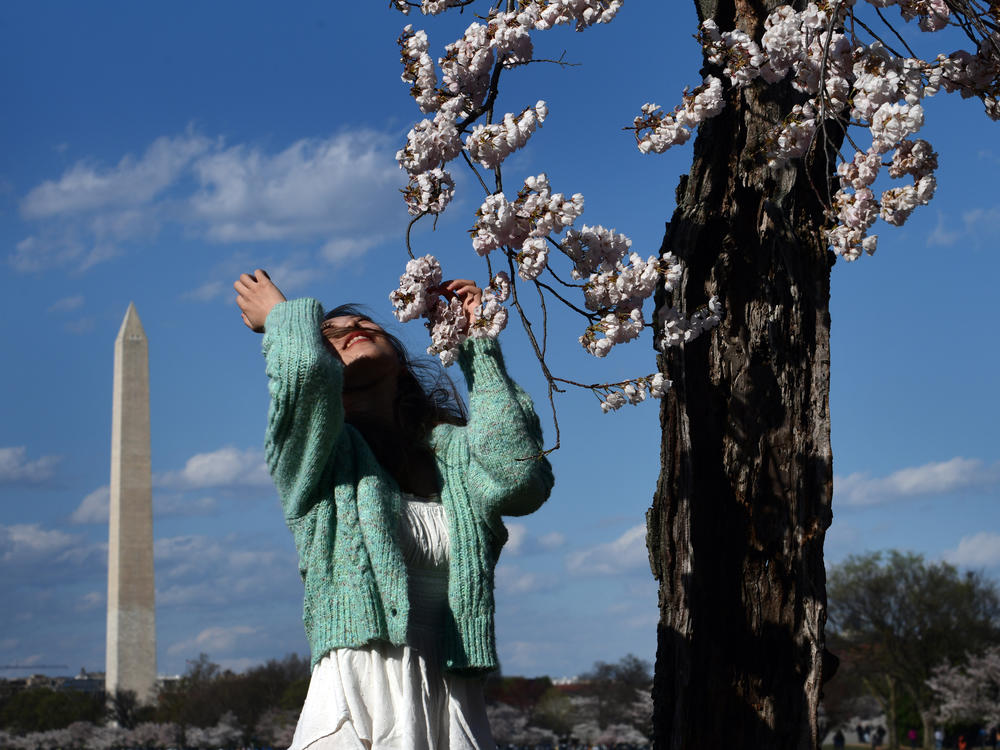 Visitors say their farewells as they pass by 