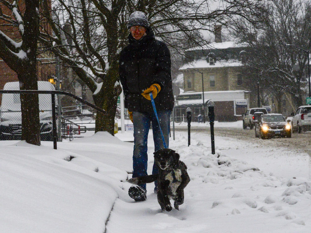 A man walks his dog down Main Street in Brattleboro, Vt., on Saturday, March 23, 2024.