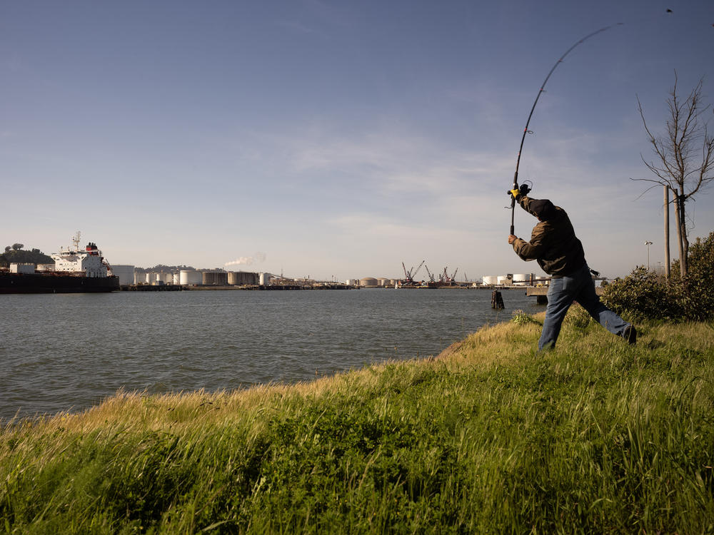 A man fishes for leopard sharks in the waterways along Point Richmond that are a thoroughfare for petroleum and have been the site of several oil and chemical spills.
