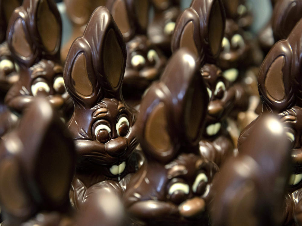 Chocolate Easter bunnies wait to be decorated at a shop in Belgium.