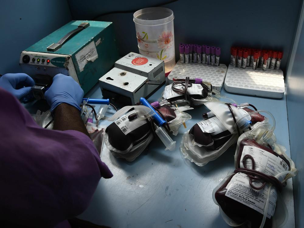 A worker separates bags of donated blood at a campaign organized by the Rotary Blood Bank in New Delhi, India.