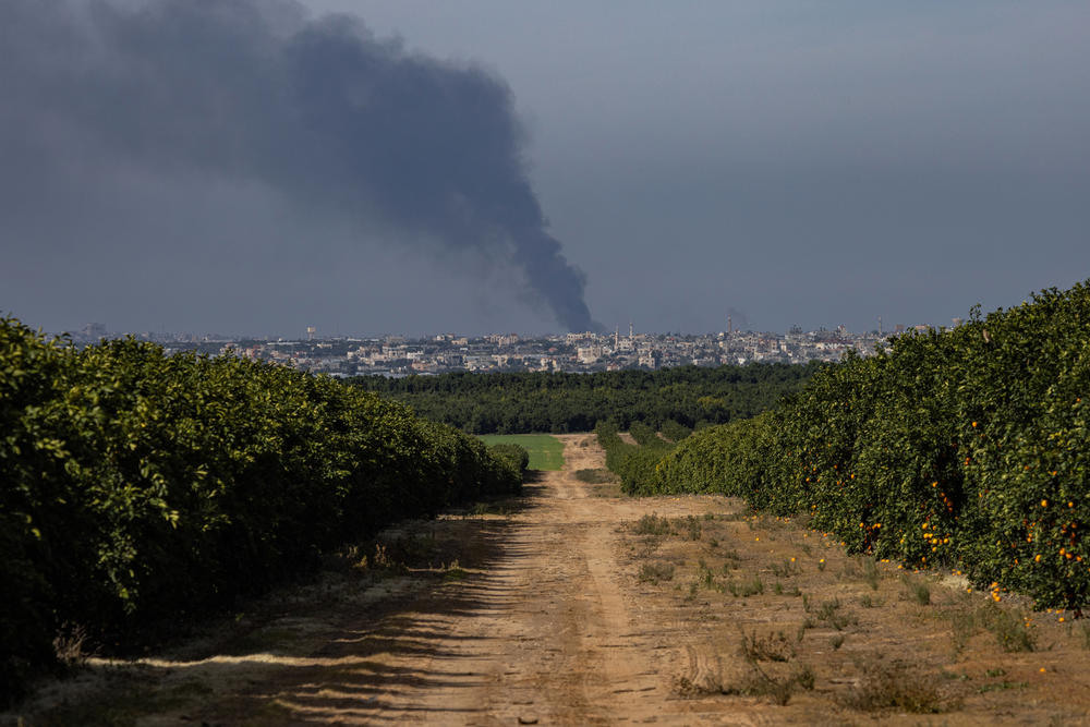 Smoke rising from Gaza is seen from a citrus and avocado farm near the border with Gaza in southern Israel on Dec. 20, 2023.