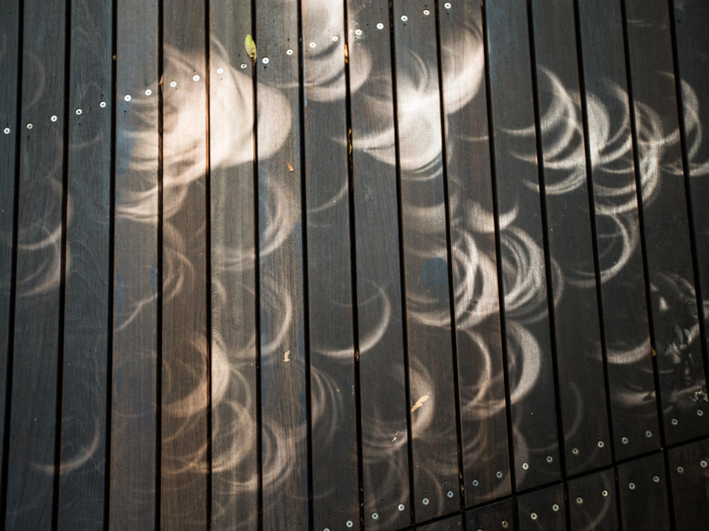 Pinhole shadows show crescent shapes in 2019 as the moon moves in front of the sun — one of several unique phenomena we can see during a solar eclipse.