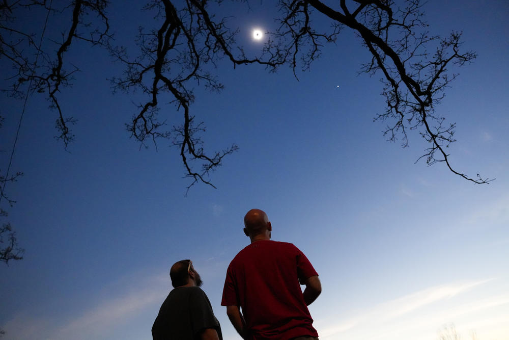 Spectators watch the solar eclipse at Cole Memorial Park in Chester, Ill.