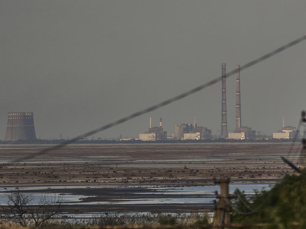 The Zaporizhzhia nuclear power plant, Europe's largest, is seen in the background of the shallow Kakhovka Reservoir after the dam collapse, in Energodar, Russian-occupied Ukraine, on June 27, 2023.