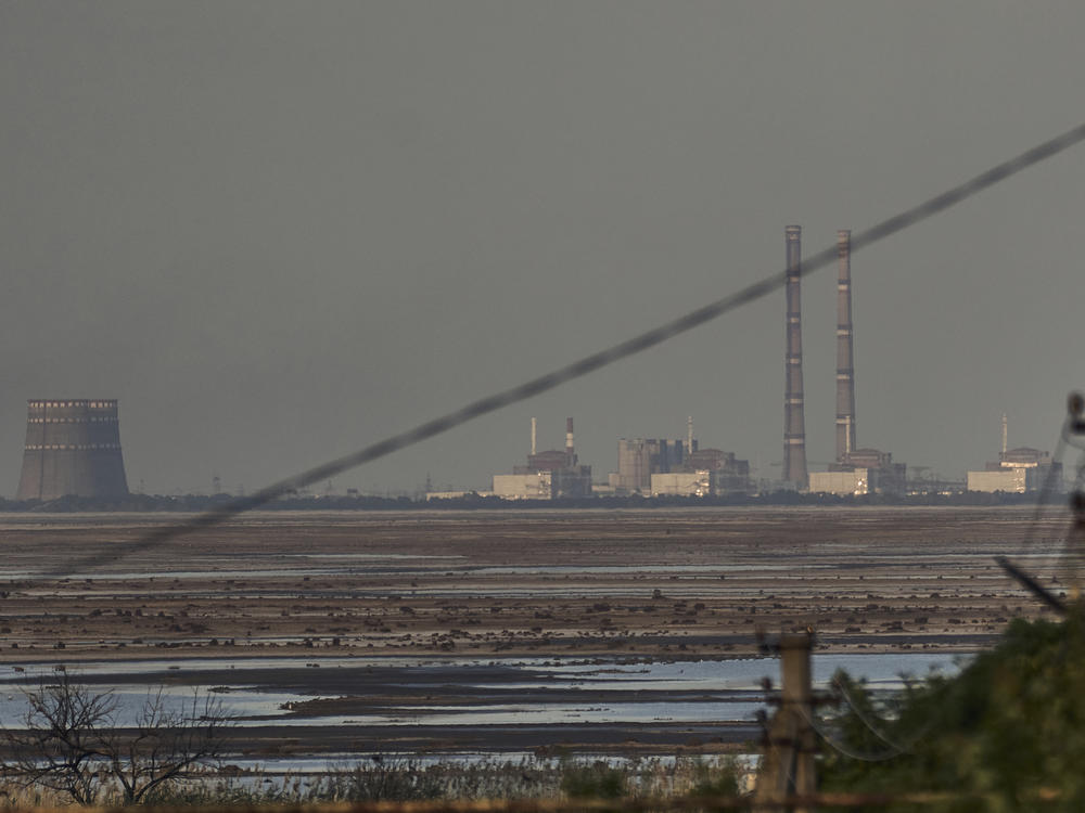 The Zaporizhzhia nuclear power plant, Europe's largest, is seen in the background of the shallow Kakhovka Reservoir after the dam collapse, in Energodar, Russian-occupied Ukraine, on June 27, 2023.