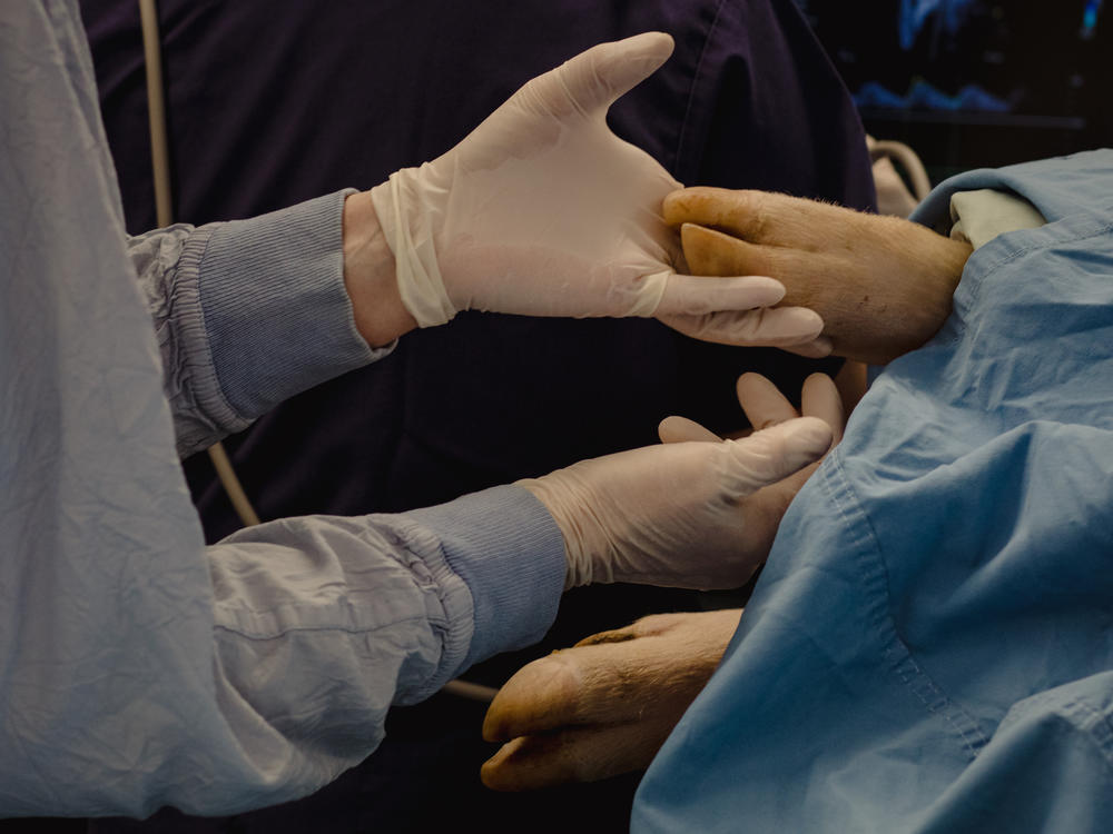 Surgeon Christoph Haller and his research team from Toronto's Hospital for Sick Children are working on technology that could someday result in an artificial womb to help extremely premature babies.
