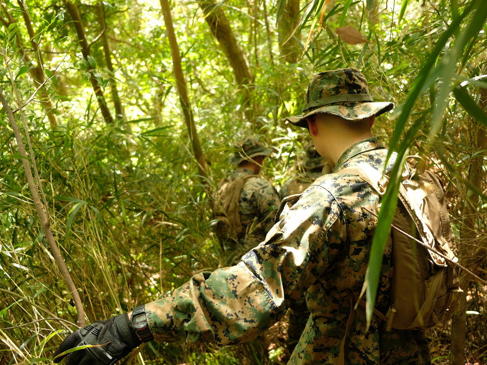 Marines of the 12th Marine Littoral Regiment do land navigation exercises in Okinawa's jungles.