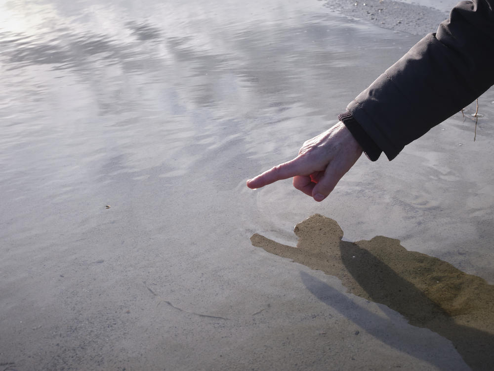 Wetlands ecologist Heidi Hoven looks for small flies at a bird sanctuary where many species are in decline due to the alarming drying of the Great Salt Lake.