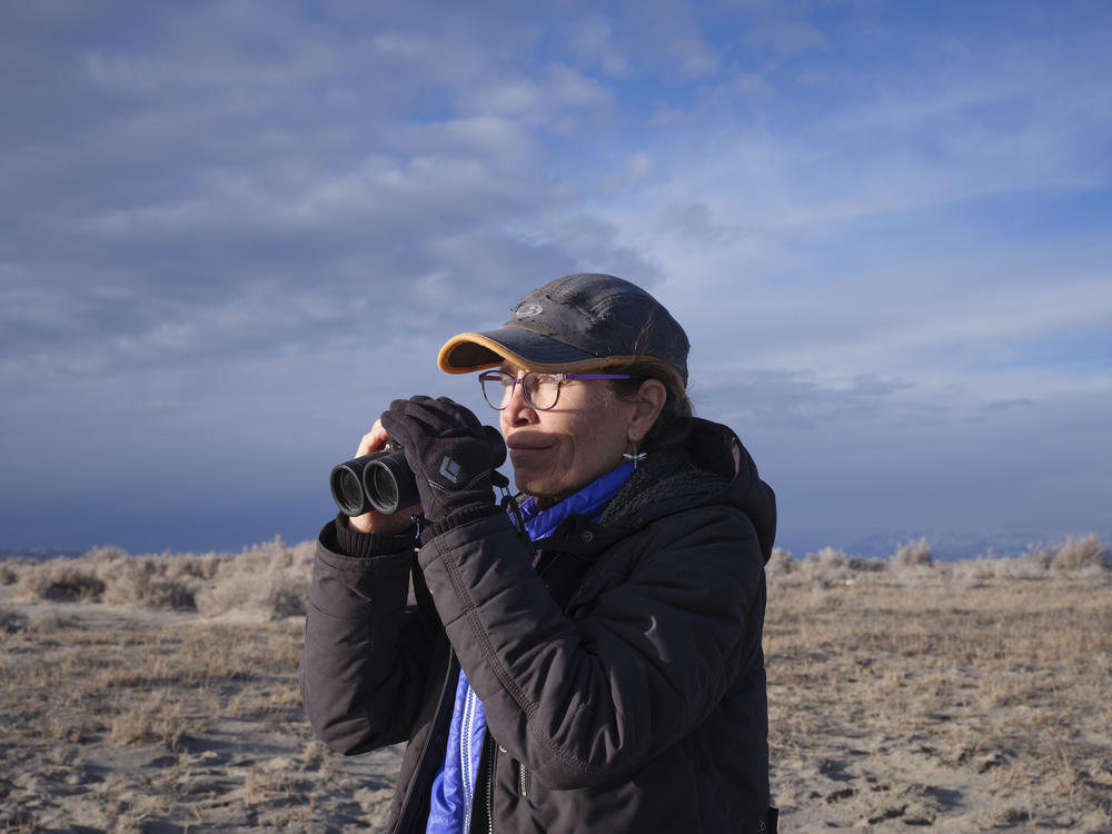 Wetlands ecologist Heidi Hoven looks for shorebirds at the Gillmor Sanctuary, which she helps manage.