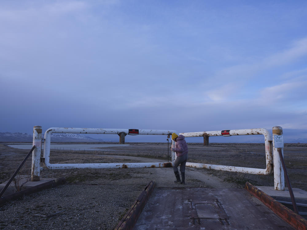 Wildlife biologist Carly Biedul of the Great Salt Lake Institute closes the last of many gates to the protected Gillmor Sanctuary along the south shores of the Great Salt Lake.