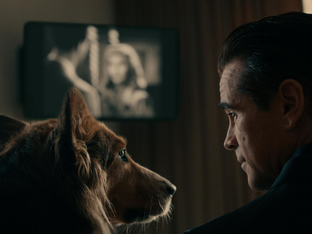 Colin Farrell teaches his new furry friend Wiley about the classics in <em>Sugar</em>.
