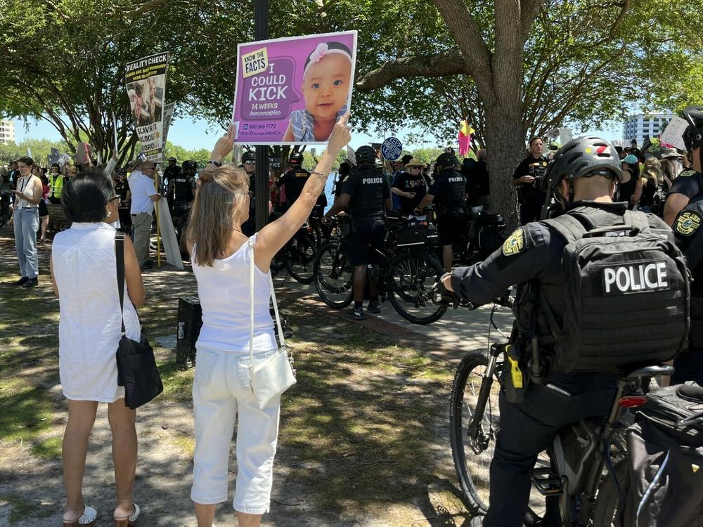 Police oversee the rally at Lake Eola Park in Orlando where protesters and counter-protesters engaged in a heated debate over Amendment 4.