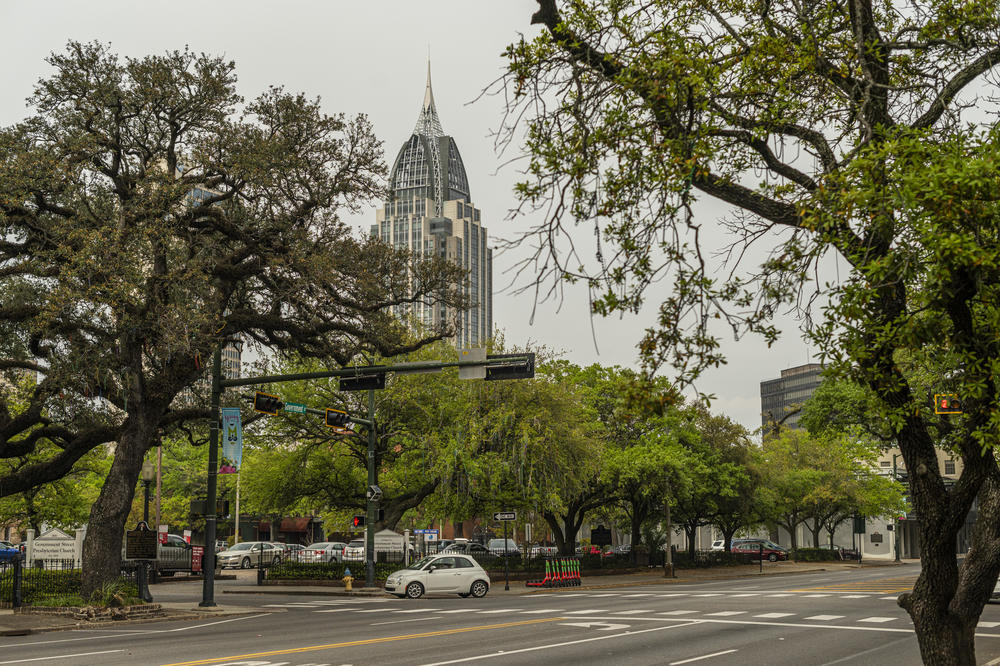 The new 2nd Congressional District stretches from Mobile, pictured here, to Montgomery and includes areas with historic ties to fights over voting rights and desegregation.