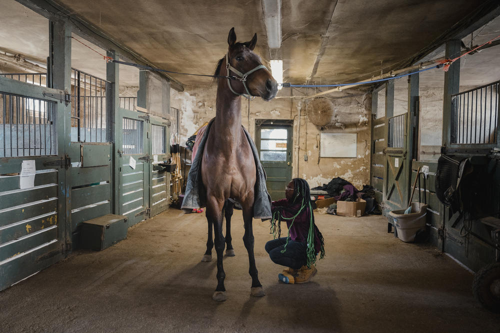 Tajee McLaughlin, 14, grooms his horse, Shady, at the Northwestern Stables in Philadelphia, Pa., on March 30, 2024.