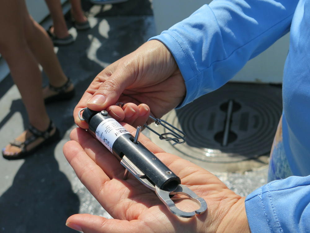 In Florida and in federal waters, anglers are required to have descending tools like this one. It's a weight that's clipped to the fish's lower lip to quickly lower it 100 feet or more below the surface.