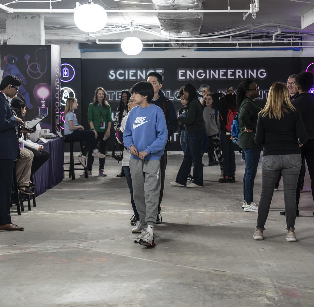Attendees at the festival in Washington, D.C., checked out the science challenge's winning projects.