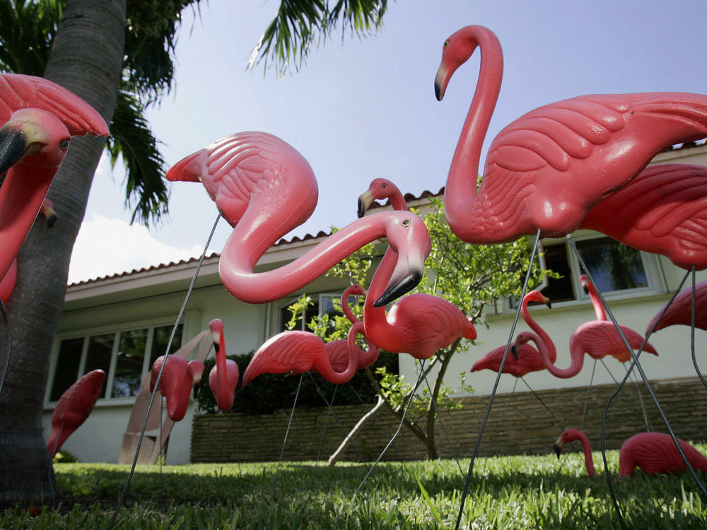 A new study finds that front yards with friendly features, such as pink flamingos or porch furniture, are correlated with happier, more connected neighbors and a greater 