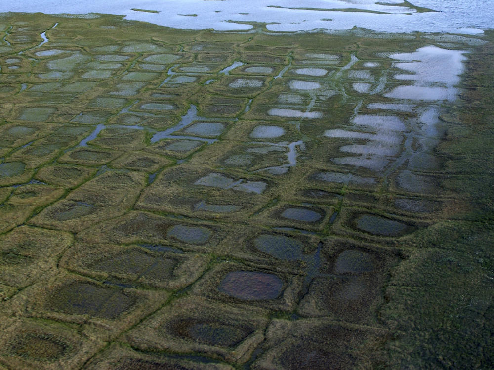 In this undated photo provided by the United States Geological Survey, permafrost forms a grid-like pattern in the National Petroleum Reserve-Alaska, managed by the Bureau of Land Management on Alaska's North Slope.