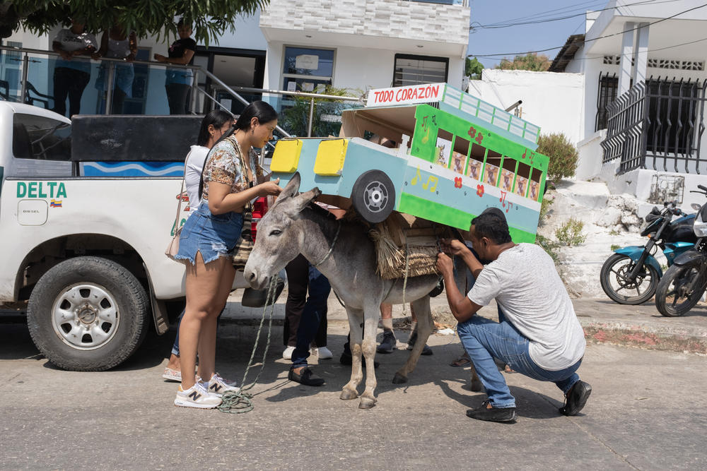The owners of this donkey strap a model of a Colombian bus on top of their donkey for the costume competition.