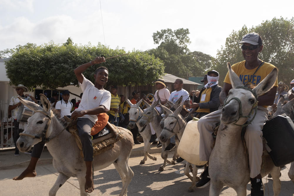 As the festival gathers steam, people parade hundreds of donkeys through the streets of San Antero.