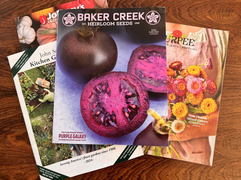 Seed catalogs on a table.