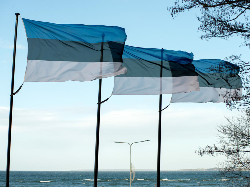 Estonia flags on the shoreline of the Baltic Sea view in Tallinn, Estonia, on Thursday, Feb. 1, 2024.