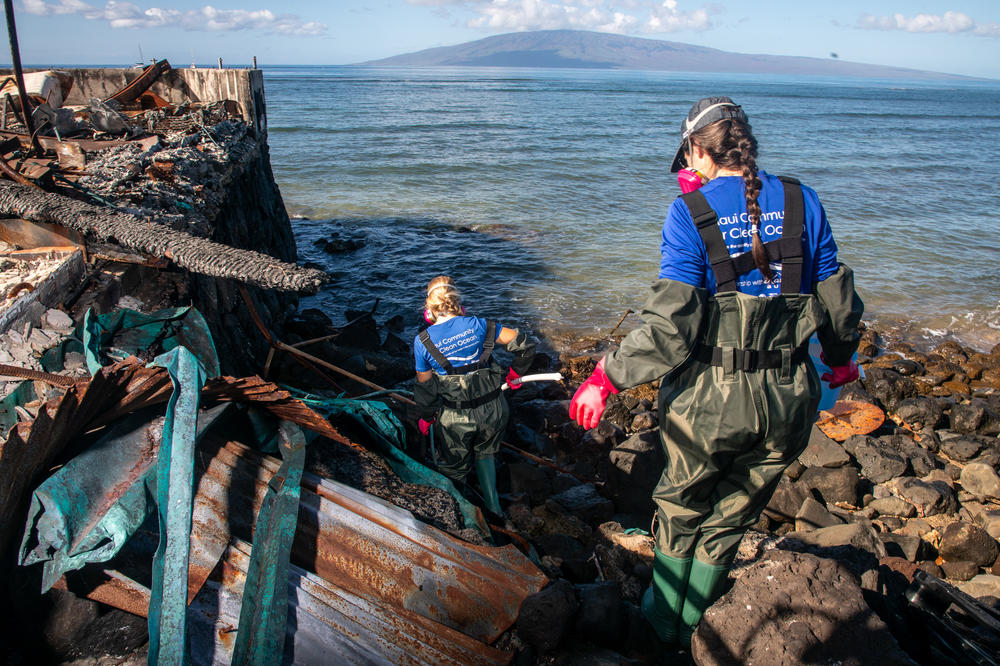 Concerns have been high in Lahaina that the devastating wildfire would also harm the ocean. Here, members of a community-led group head out to collect water samples.