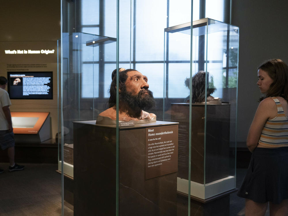 People visit exhibits inside the Smithsonian Hall of Human Origins, Thursday, July 20, 2023, at the Smithsonian Museum of Natural History in Washington.