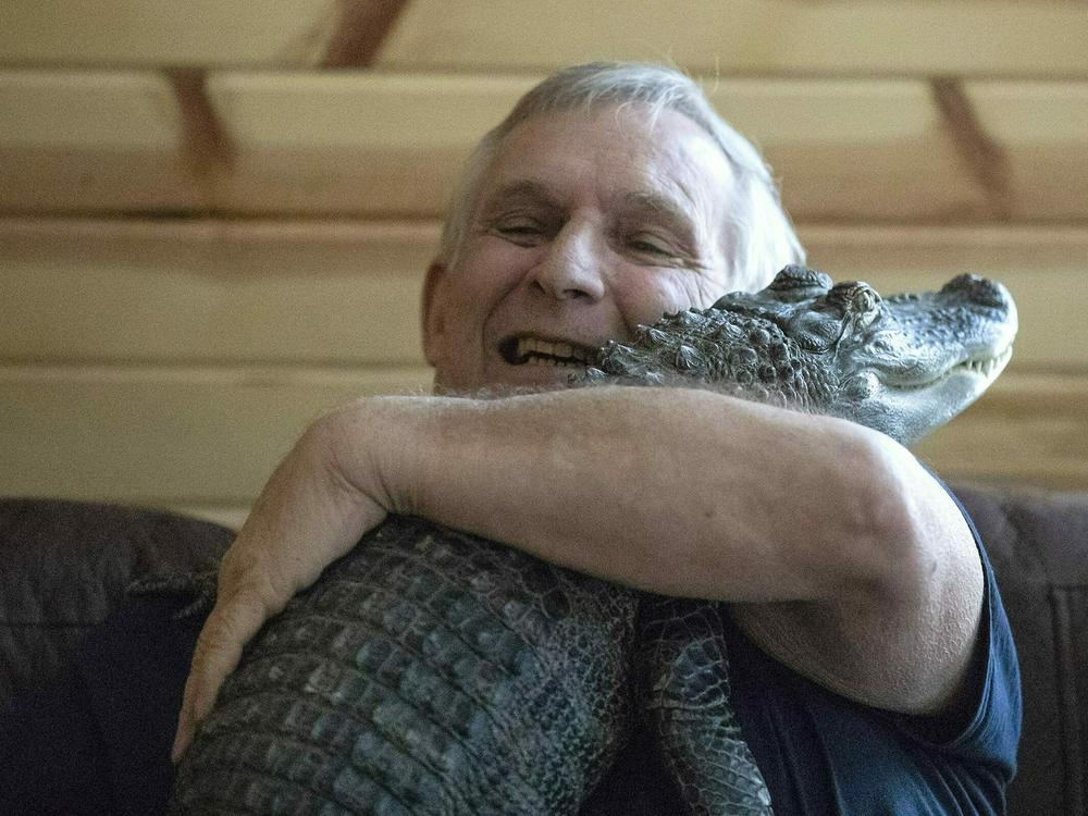 Joie Henney says his emotional support alligator, Wally, is missing in Georgia after being kidnapped, found and released into a swamp with some 20 other gators.
