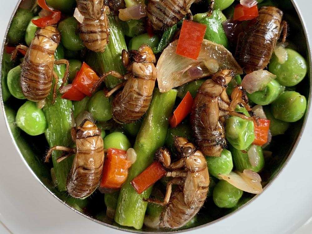 Cicada Spring Salad